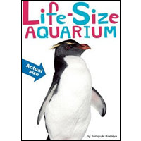 Life-Size ZOO