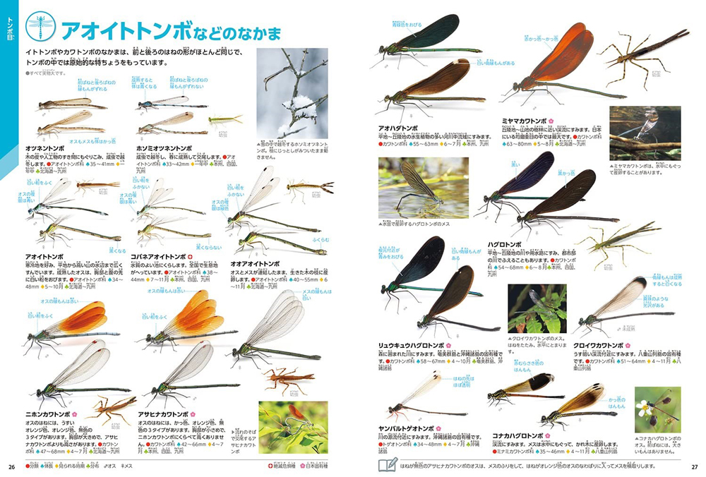 昆虫を生きた状態のまま撮影した『昆虫新版』では、標本では確認できない本来の鮮やかな色・姿を掲載。