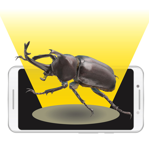 迫力の3DCG（AR）は、後ろ、背中、お腹から、360度どこからでも観察できます。※画像はイメージです