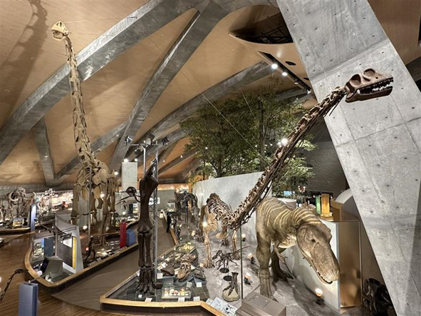 群馬県立自然史博物館の外観です